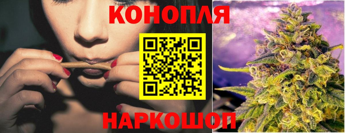 Каннабис сатива Балашов